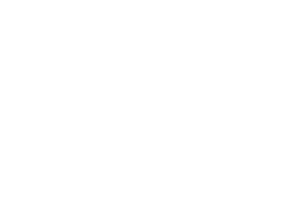 Bolshoi Theatre